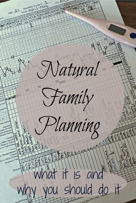 Natural Family Planning How To Do, Natural Family Planning Birth Control, Natural Cycles Birth Control, Family Planning Birth Control, Family Planning Methods, Fertility Chart, Fertile Woman, Fertility Cycle, Natural Birth Control