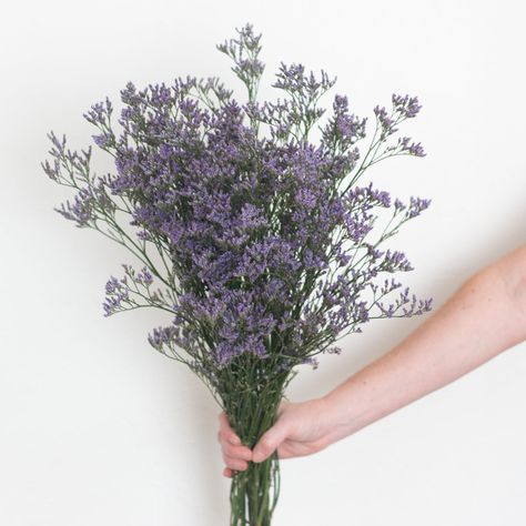 Purple Limonium | DIY Wedding Flowers | Flower Moxie Purple Statice Flower, Wedding Bouquet Recipe, Limonium Flower, Statice Flower, Purple Statice, Bouquet Recipe, Flower Moxie, Dark Purple Flowers, Filler Flowers