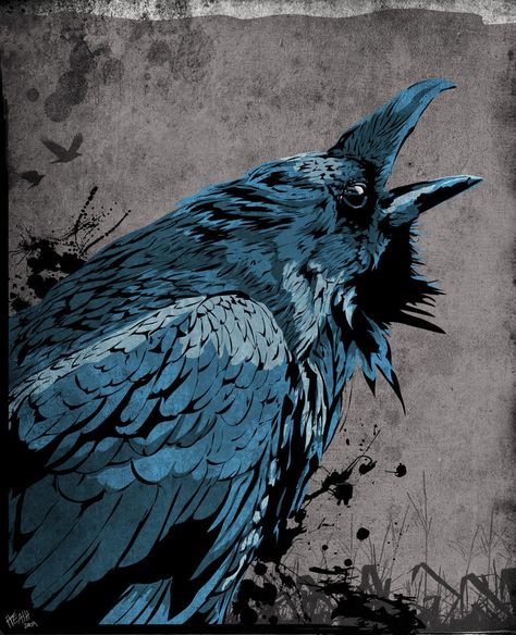 Raven+by+heathdro.deviantart.com+on+@DeviantArt Raven Artwork, Blue Raven, Quoth The Raven, Dark Wings, Crow Art, Raven Tattoo, Jackdaw, Raven Art, Crows Ravens