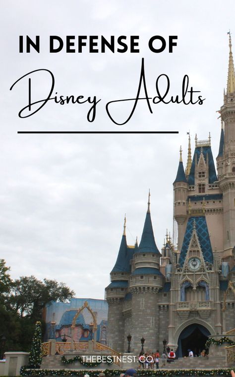 What do people have against adult Disney fans anyway? Here's what I have to say in defense of Disney adults. Adult Disney Trip, Disney Adult, Adults At Disney World, Disneyland In One Day Adults, Adult Disney Shirts Amazon.com, Disney World Memes, Inspirational Blogs, Watch Cartoons, Morning Cartoon