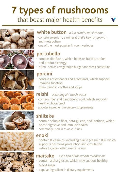 Health Benefits Of Mushrooms, Mushroom Varieties, Mushroom Benefits, Health Cleanse, Edible Mushrooms, Vegetarian Burger, Health Routine, Herbal Healing, Herbs For Health