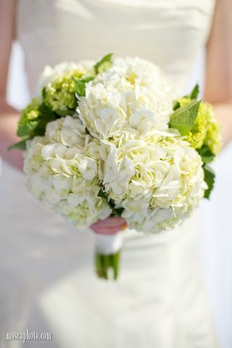 . Green And White Hydrangea, Green Hydrangea Bouquet, White Hydrangea Bouquet, Hydrangea Bouquet, Hydrangeas Wedding, Green Hydrangea, Purple Wedding Flowers, White Wedding Flowers, Trendy Flowers