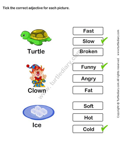 Describing Words Worksheet 11 - esl-efl Worksheets - kindergarten Worksheets Describing Words Worksheet, Nouns Kindergarten, Adjectives For Kids, Teaching Adjectives, Good Adjectives, Words Worksheet, Ela Worksheets, Adjective Worksheet, Describing Words