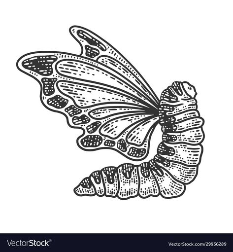 Butterfly Wings Sketch, Caterpillar Tattoo, Moth Cocoon, Caterpillar Butterfly, Wings Sketch, Butterfly Back Tattoo, Butterfly Sketch, Sketch Icon, Forest Tattoos