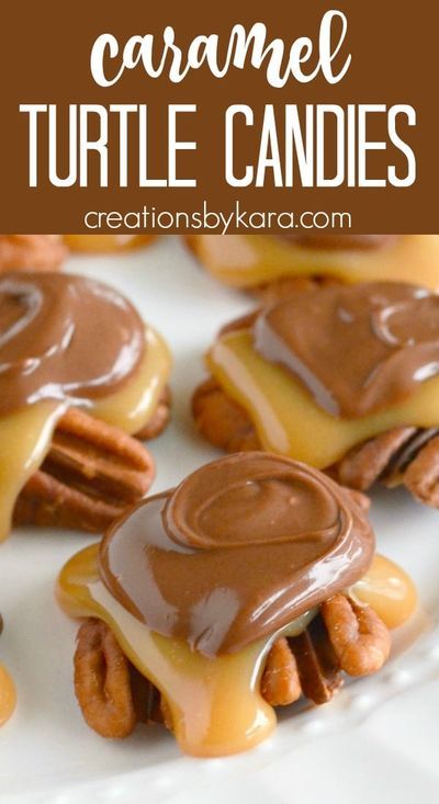 Pretzel Pecan Turtles, Handmade Candy Recipes, Turtle Candy Recipe, Homemade Turtle Candy, Chocolate Pecan Turtle Clusters, Pecan Turtles Recipe, Turtle Clusters, Turtle Candies, Turtles Recipe