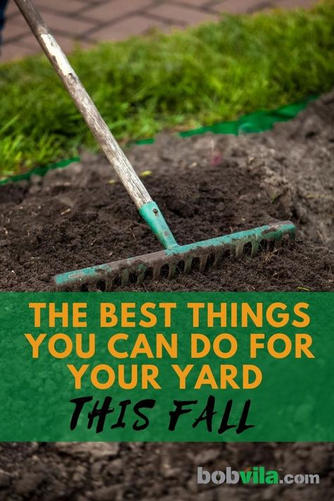 Fall Yard Prep, Homemade Lawn Fertilizer, Fall Yard Maintenance, Simple Fall Landscaping Front Yard, Fall Yard Clean Up, Yard Work Hacks, Fall Yard Ideas, Rock Garden Ideas Front Yard, Front Yard Trees