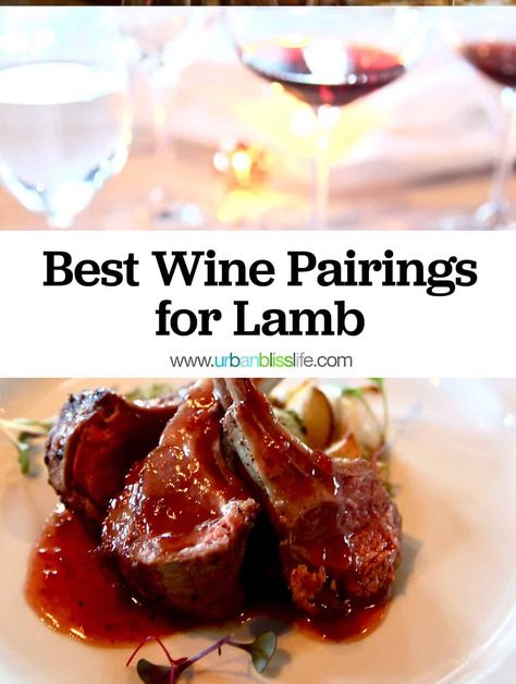 We've got the best wines to pair with a variety of lamb dishes in our Best Wines with Lamb food and wine pairing guide on UrbanBlissLife.com. Irish Lamb Stew, Food And Wine Pairing, Lamb Salad, Crusted Rack Of Lamb, Wine Tips, Lamb Kebabs, How To Cook Lamb, Grilled Lamb Chops, Lamb Dishes