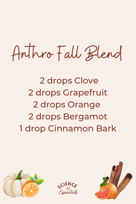 Fall Diffuser Blends, Thanksgiving diffuser blend, essential oil blend, Anthro diffuser blend, Fall Anthro diffuser blend Fall Essential Oil Blends With Cinnamon, Clean Fall Essential Oil Blends, Fall Evening Diffuser Blend, Fall Essential Oil Roller Blends, Fall Eo Diffuser Blends, Fall Air Diffuser Blend, Sweet Cinnamon Pumpkin Diffuser Blend, Fall Essential Oil Blends Doterra, White Pumpkin Diffuser Blend