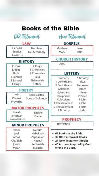 How To Memorize Books Of Bible, Bible Chapters To Read In The Morning, What To Read In The Bible When Feeling, Where Should I Start Reading The Bible, Highlighting Bible Guide, What Each Book Of The Bible Is About, Order To Read The Bible, How To Read The Bible, Bible Study Guide For Beginners