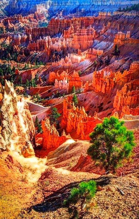 Scenic View, Have Inspiration, Halong Bay, Bryce Canyon National Park, Bryce Canyon, In The Desert, Travel Goals, Places Around The World, Travel Bucket