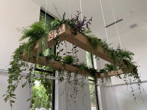 Live Plant Chandelier, Hanging Plant Ceiling Grid, Indoor Plant Ceiling, Hanging Plant Chandelier, Suspended Plants Ceiling, Industrial Hanging Plants, Chandelier With Plants, Ceiling Trellis, Plants Ceiling