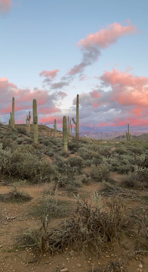 Arizona Road Trip Aesthetic, Desert Wallpaper Aesthetic, Arizona House Aesthetic, Arizona Aesthetic Wallpaper, Scottsdale Arizona Aesthetic, Tucson Arizona Aesthetic, Scottsdale Aesthetic, Sedona Arizona Aesthetic, Sedona Aesthetic