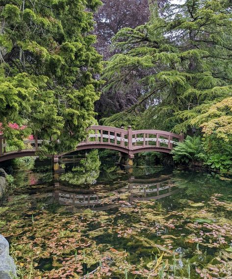 Hatley Castle gardens in Victoria BC is on the list of things to do in Victoria BC.  If you're planning a trip to Victoria, click to see what else is on the list. What To Do In Canada, Victoria Bc Aesthetic, Victoria Core Aesthetic, Victoria Hobby, Sierra Aesthetic, Victoria + Core + Aesthetic, Victoria Aesthetic, Cottagecore Pictures, Victoria + Core