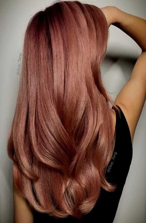 Rose Hair Color, Garnier Olia, Peach Hair, Strawberry Blonde Hair, Dark Rose, Spring Shorts, Rose Gold Hair, Rose Hair, Hair Color And Cut