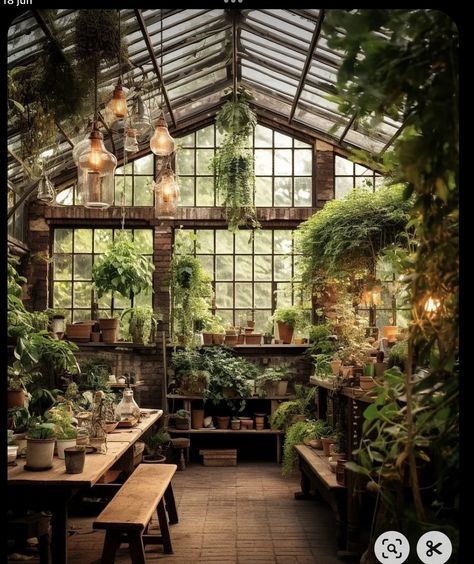 Green House Interior Ideas Planters, House Filled With Plants, Gardening Room, Converted Factory, Plant Rooms, Dream Greenhouse, Modern Greenhouses, Outdoor Greenhouse, Industrial Style Decor