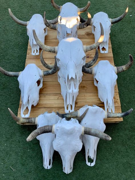 Steer Skull Decor, Decorated Cow Skulls, Cow Head Decor, Skull Inspiration, Painted Animal Skulls, Animal Skull Decor, Painted Skulls, Painted Cow Skulls, Skull Ideas