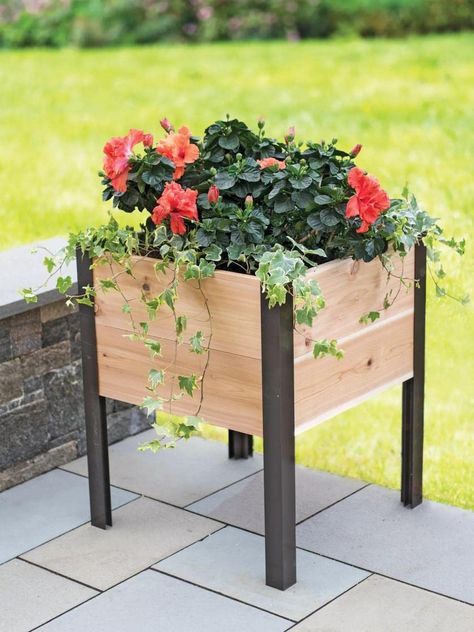 Cedar Planter Box, Planter Box, Plants, Flowers, Green