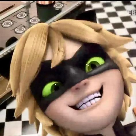 Cat Noir Funny Pictures, Cat Noir Funny, Funny Chat, Miraculous Ladybug Oc, Miraculous Ladybug Memes, Miraculous Characters, Miraculous Ladybug Funny, Funny Cat Pictures, Meme Faces