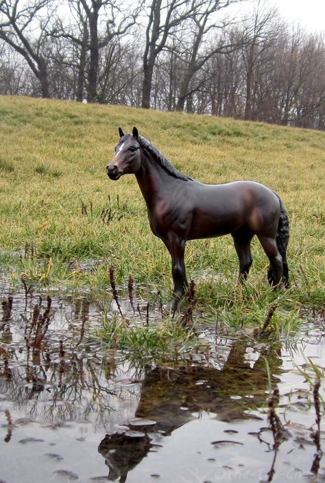 Breyer - Fen And Reed by The-Toy-Chest on DeviantArt Seal Bay Horse, Diy Horse Barn, Bryer Horses, Horse Facts, English Horse, Horse Inspiration, Bay Horse, Australian Shepherd Dogs, Most Beautiful Horses