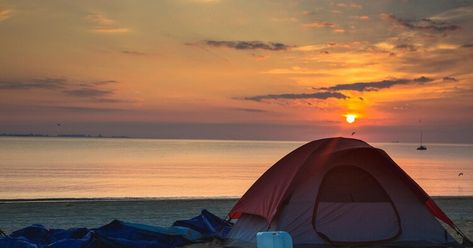 These Gorgeous Beach Camping Spots in Michigan Will Have You Packing ASAP Travel Michigan, Michigan Travel, Camping Spots, Beach Camping, Michigan, Camping, Green, Travel