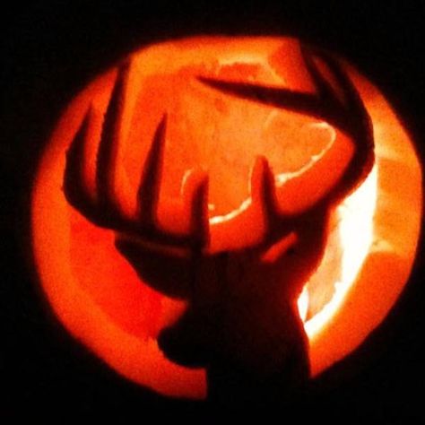 Hunting Pumpkin Carving Ideas, Pumpkin Carving Ideas Animals, Deer Pumpkin Carving Ideas, Deer Pumpkin Carving, Western Pumpkin Carving Ideas, Cow Pumpkin Carving, Thanksgiving Pumpkin Carving, Deer Pumpkin, Free Printable Pumpkin Carving Stencils