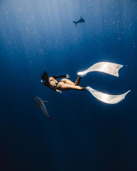 Freediving Aesthetic, The Blue Planet, Women's Diving, Self Photography, Surfing Pictures, Girl In Water, Free Diving, Underwater Photos, Abstract Art Wallpaper