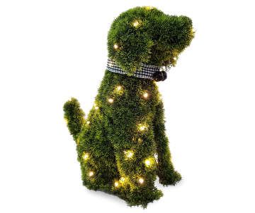 Outdoor Decorating Ideas - Tips for Decorating Your Backyard | Big Lots Dog Topiary, Boxwood Garden, Boxwood Balls, Sitting Dog, Big Lots Store, Artificial Topiary, Fairy Garden Houses, Bow Wow, Dog Lead