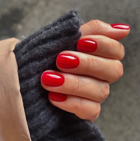 Posted by Zoe Scott. #rednail #rednaildesign. Hey there, nail enthusiasts! Get ready to embrace the bold and beautiful world of Short Red Nails – a timeless trend that's all about making a stateme... Funky Christmas Nails Short, Red Nails December, Shorter Red Nails, Classic Red Nails Short, Red Short Nails Square, Red Gel Manicure Short Nails, Christmas Red Nails Short, December Short Nail Ideas, Festive Red Nails