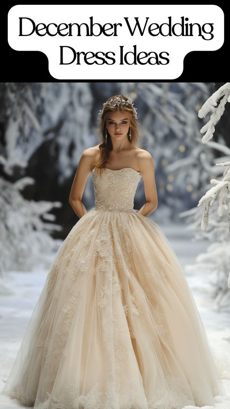 Elegant December wedding dress ideas for brides and guests. December Wedding Dress, Dresses With Fur, Simple Winter Wedding, December Wedding Dresses, Velvet Gowns, Winter Ceremony, Looks For Winter, Winter Wedding Dresses, Embrace Natural Beauty