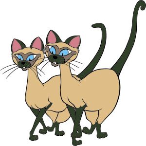 "We are Siamese if you please." Disney Cat Characters, Disney Gifs, Disney Cats, Famous Cartoons, Cat Character, Lady And The Tramp, Disney Tattoos, Cat Costumes, Hayao Miyazaki