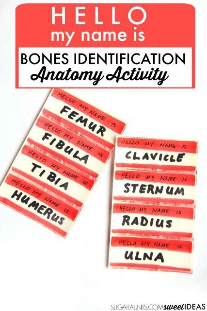 This bones anatomy movement and learning activity is perfect for kids or anyone learning human anatomy and bones or musculature. Add this to a health or gym curriculum to learn body parts with kids. Bone Identification, Anatomy Movement, Human Body Activities, Human Biology, Human Body Unit, High School Activities, Music Lesson Plans, Science Activity, Name Activities