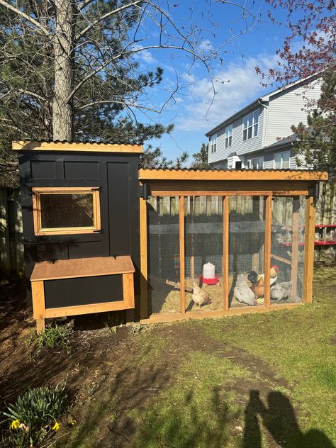 This is a digital plan of a chicken coop and run build that anyone could do. The plans are also supported by a free video to help walk you through the process. (Please check https://linktr.ee/SDOTDIY for more details). The overall coop is 4x5 and the overall run is 8x5. If you are looking for the homesteading life this is the perfect start. This project could be completed with the use of a drill, circular saw and hammer (minimum tools needed). As always happy building. *This is a guide to assist you in building, but feel free to make any creative changes/updates to the build. Chicken Coop Building Plans, Chicken Coop Designs Diy, Chicken Coop And Run, Coop And Run, Walk In Chicken Coop, Chicken Coop Garden, Chicken Coup, Backyard Chicken Coop Plans, Diy Chicken Coop Plans