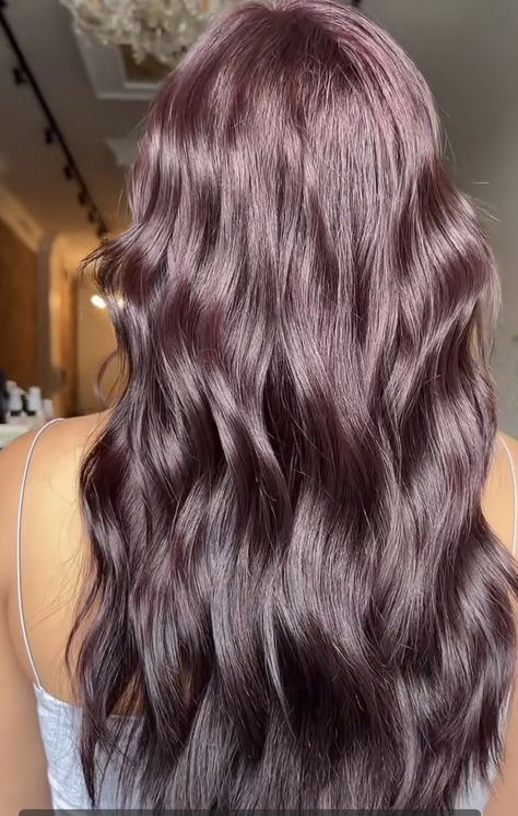 Light Brown Purple Hair, Chocolate Purple Hair, Aubergine Hair, Brown Purple Hair, Purple Brown Hair, Blue Black Hair Color, Violet Brown, Blue Black Hair, Black Grapes