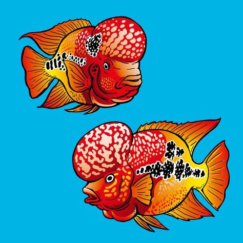 Aquarium Logo, Flowerhorn Fish, Tarpon Fishing, Fish Types, Betta Fish Types, Aesthetic Warning, Fish Tropical, Dynamic Wallpaper, Iphone Dynamic Wallpaper