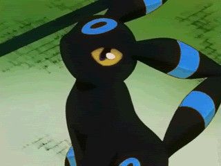 Pokemon Shiny Umbreon, Shiny Umbreon Pfp, Shiny Umbreon Art, Shiny Leafeon, Shiny Pokemon Art, Umbreon Pfp, Eevee Party, Evoluzioni Eevee, Fish Eye Pfp