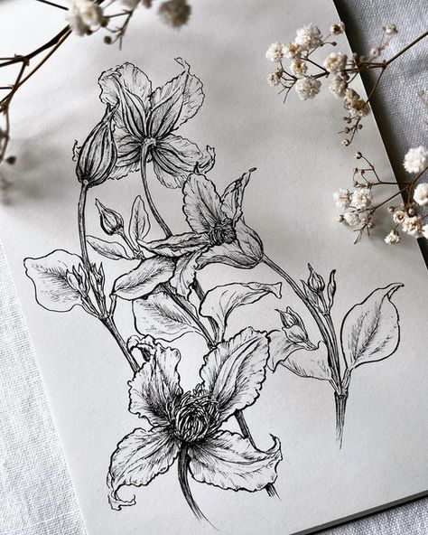 Floral Pen Drawing, Micron Pen Flowers, Rough Floral Sketch, Black And White Floral Illustration, Botanical Sketching, Floral Illustrations Black And White, Natural Form Art, Art Assignments, Flower Sketches