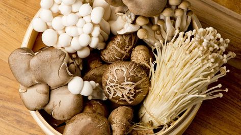 Our running list of the best mushrooms for your health* (#2 may quite possibly be our favorite) With so many edible mushrooms out there, it can be hard to narrow down which ones to pick up at the grocery store for dinner, let alone which ones to take to support your health and well-being.* You might be curious about wh Health Benefits Of Mushrooms, Mushroom Benefits, Mushroom Cultivation, Chaga Mushroom, Edible Mushrooms, Food Medicine, Mushroom Powder, Mushroom Coffee, Detox Smoothie