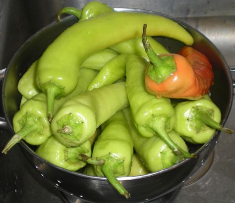 Canned Pickled Hungarian Wax Peppers | Thrifty By Nature Peppers Canning Recipes, Hungarian Wax Peppers, Hungarian Peppers, Wax Peppers, Canning Hot Peppers, Hungarian Cuisine, Canning Vegetables, Canned Food Storage, Summer Veggies