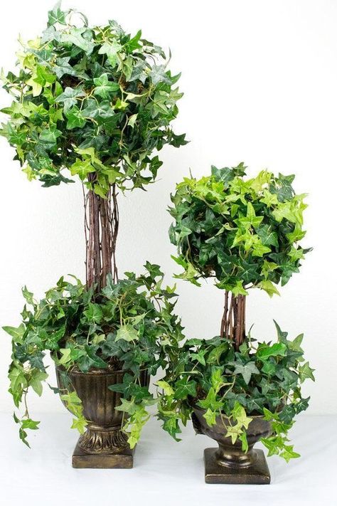 Indoor Topiary, Topiary Decor, Tuscany Decor, Topiary Diy, Tuscany Style, Topiary Garden, Tuscan Design, Deco Nature, Tuscan House