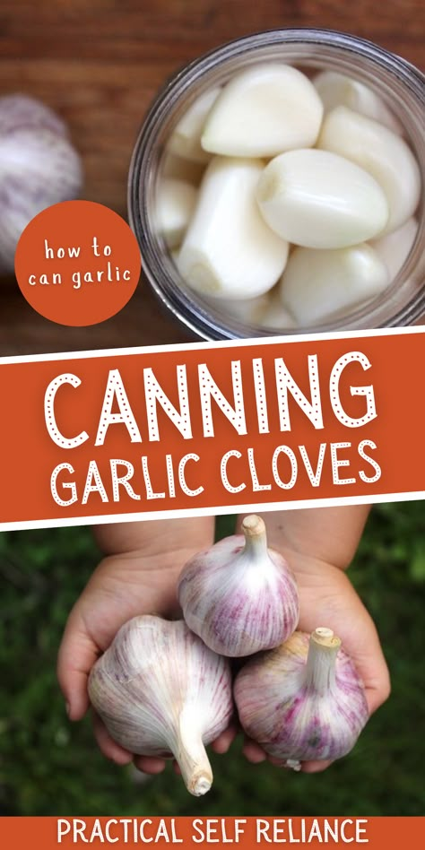 Water Bath Canning Garlic, Homestead Canning Recipes, How To Can Minced Garlic, Vegetarian Canning Meals, Pressure Canning Hummus, How To Can Garlic Cloves, Foods To Can Ideas, Canned Garlic Cloves, How To Can Garlic