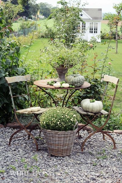 Idea for area just off patio (gravel) where the grass won't grow. Would keep the house a little cleaner with less sand. Cottage Gardens, Have Inspiration, The Secret Garden, Garden Cottage, Country Gardening, Dream Garden, Garden Room, Garden And Yard, Gourds