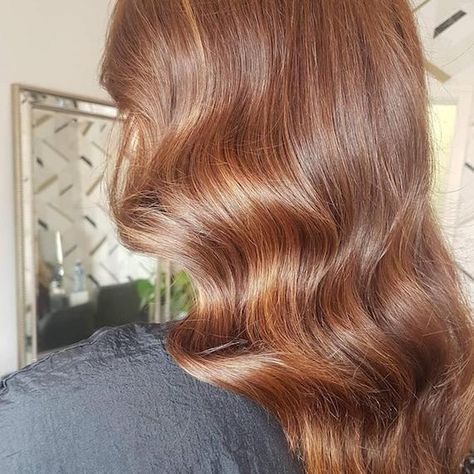 16 Brown Hair Colors, from Bronde to Brunette | Wella Professionals Light Chestnut Brown Hair, Gold Brown Hair, Light Brown Shades, Brown Hair Trends, Mahogany Hair, Warm Brown Hair, Chestnut Brown Hair, Cinnamon Hair, Feminine Hairstyles