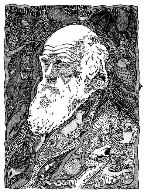 Typographic Portrait, Typography Portrait, Text Portrait, Sarah King, Dark Paintings, American Illustration, Bio Art, List Of Artists, Charles Darwin