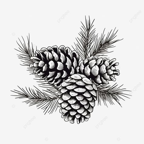 merry christmas card with pine cones hand drawn illustration christmas sketch vintage christmas wi Pine Needle Drawing, Pine Cone Art Drawing, Pine Cones Drawing, Drawing Winter Ideas, Cedar Drawing, Christmas Drawing Black And White, Pine Cone Drawing Simple, Pine Cone Sketch, Cone Illustration