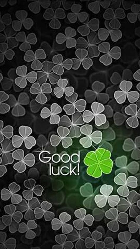 Friendsgiving Quotes, Exam Wishes, Good Luck Today, St Patricks Day Wallpaper, Good Luck Wishes, Elephant Charm Necklace, Luck Quotes, Good Luck Quotes, Lucky Clover