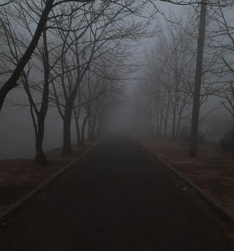 fog, fallen leaves, late autumn, evening, forest aesthetics, mystery, park Autumn Fog Aesthetic, Autumn Evening Aesthetic, Foggy Autumn Aesthetic, Late Autumn Aesthetic, Creepy Fog, Mist Aesthetic, Witch Autumn, Foggy Fall, Autumn Evening