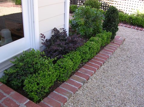 Boxwood/Brick/Gravel edge Brick Lined Gravel Driveway, Pea Gravel Patio With Brick Edging, Pea Gravel Parking Pad, Buxus Hedge, Brick Landscape Edging, Driveway Inspiration, Small Garden Borders, House Driveway, House Frontage