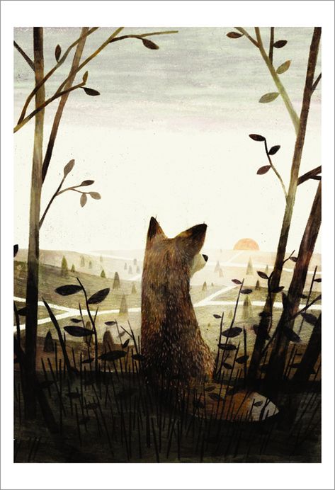 Jon Klassen, Laika Studios, Writing Picture Books, Bafta Award, Niagara Falls Ontario, Narrative Art, Animated Videos, Water Projects, Pulitzer Prize