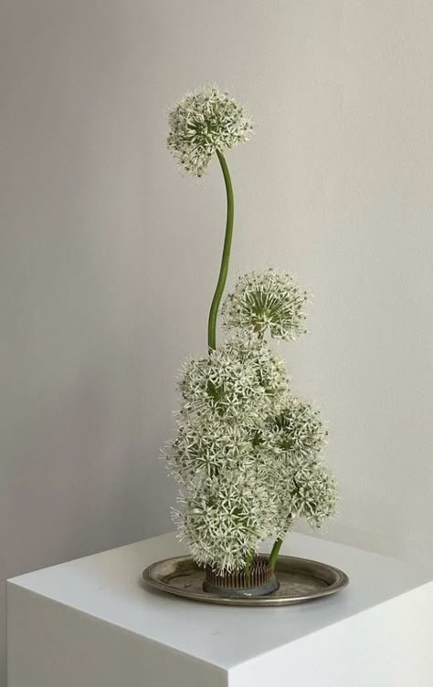 Japanese Florals, Flower Ikebana, Become A Florist, Katie White, Ikebana Flower Arrangement, Flower Installation, Flower Therapy, Mexican Wedding, Flower Fashion