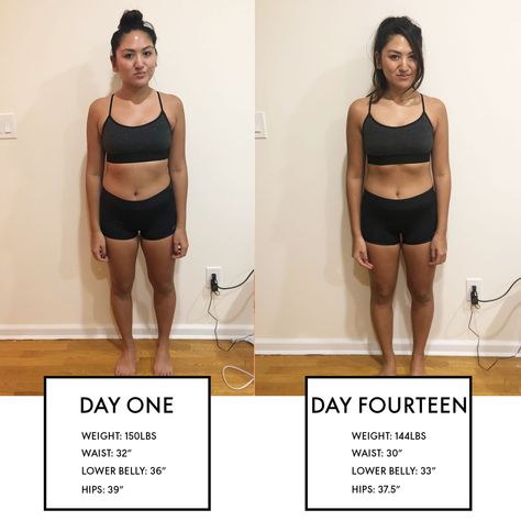 2 Week Weight Cut, Two Week Workout, Workout Plan For Men, Strong Heart, Breakfast Low Carb, Running Plan, Smoothie Bar, Workout Plan For Beginners, Gym Video